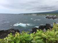 北海道　北海道観光　利尻島の絶対外せない観光スポット 仙法志御崎公園でアザラシに会ってきた！