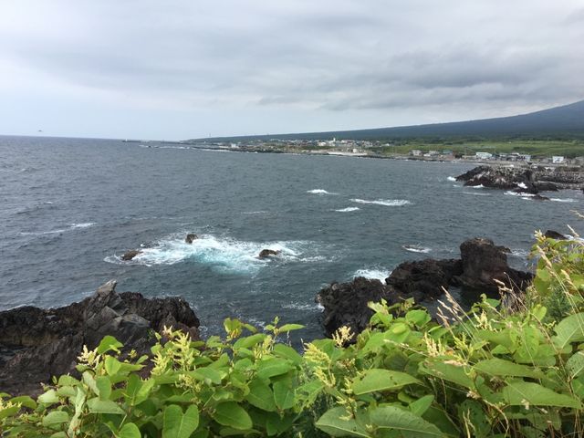 北海道　北海道観光　利尻島の絶対外せない観光スポット 仙法志御崎公園でアザラシに会ってきた！