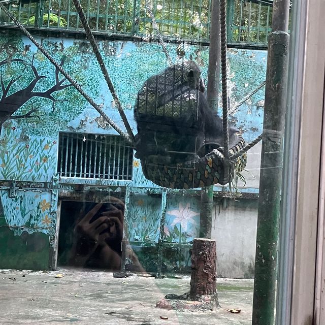 サイゴン動植物園