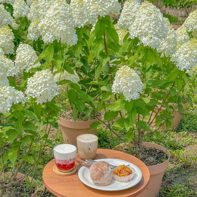 유럽수국 가득한 토성마을의 정원🍃💚