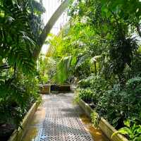 GORGEOUS ROYAL BOTANIC GARDENS, KEW!