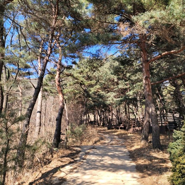 두근두근여름휴가 남녀노소 가볍게 등산하기 좋은 음성의 보덕산 큰산 등산 