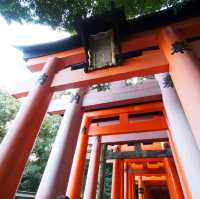 延綿不斷的紅色鳥居隧道⛩️