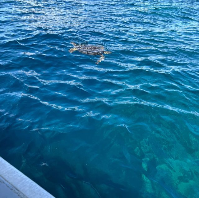 石垣島☺︎ 竹富島☺︎