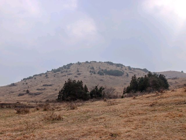 모두가 산책하기에 좋은, 용눈이오름