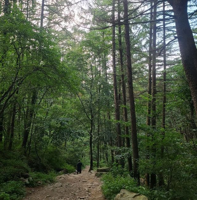 전망, 약수터, 계곡이 멋진 하남 검단산