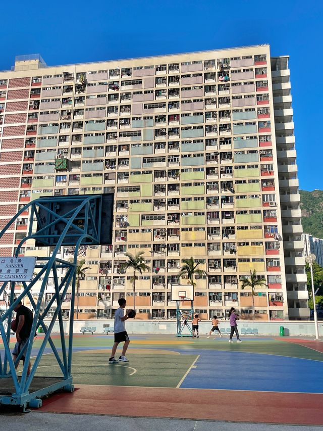 무지개 아파트, 홍콩 초이홍🌈