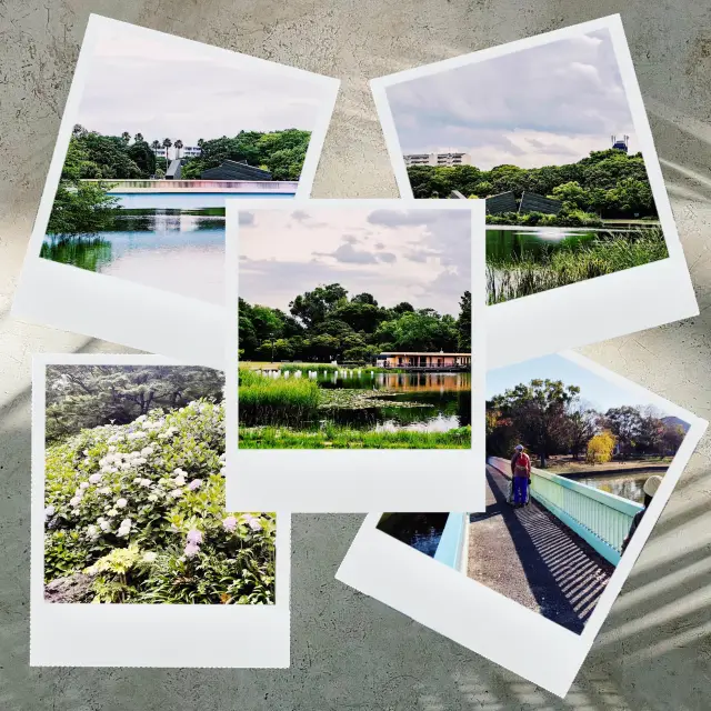 長居公園🏝️綠意盎然的避世天堂！🌳🌷😌