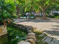 高雄前鎮-都市森呼吸🌿盛興公園（巨大的都市公園）