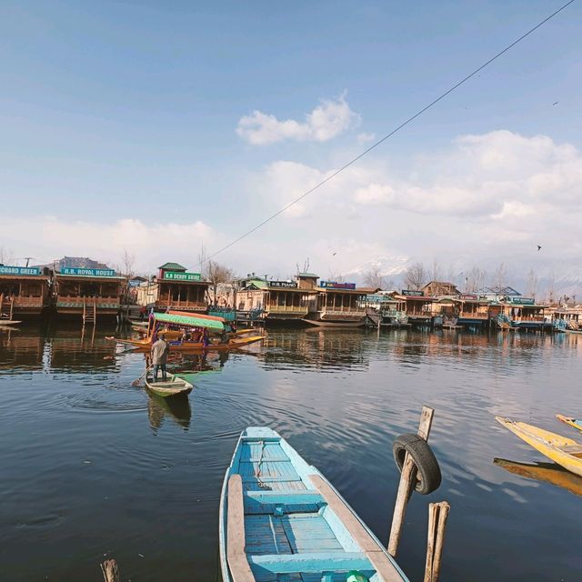 Jewel of Kashmir - Dal Lake 