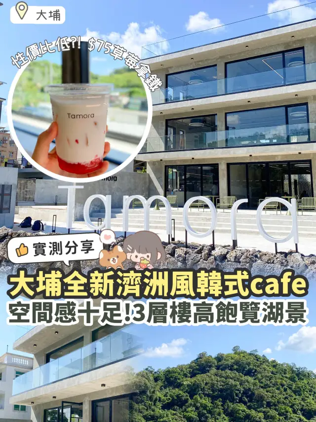 《🇰🇷大埔濟洲島韓風cafe☕️｜全港最大空間十足！性價比偏低？！》