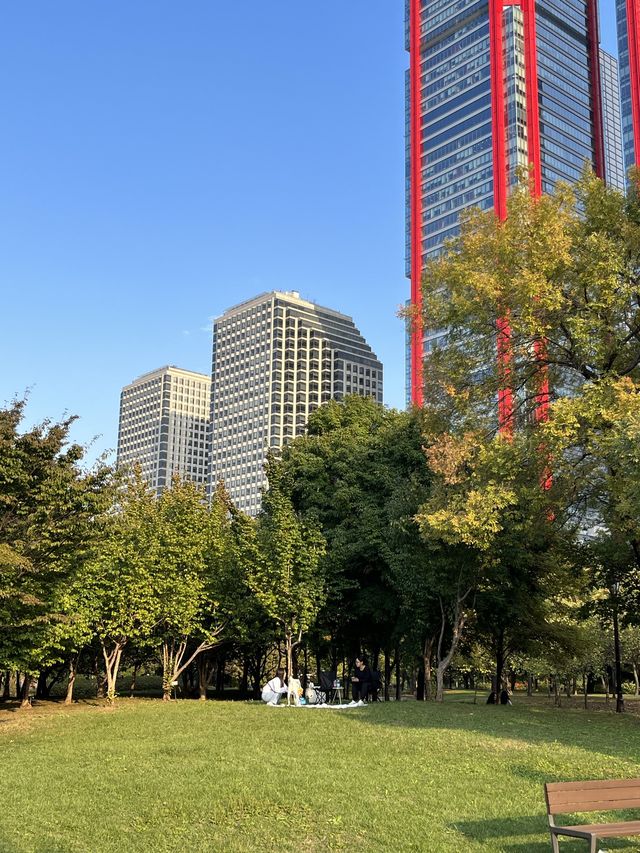 서울 대표 러닝 스팟, 여의도공원 ✨