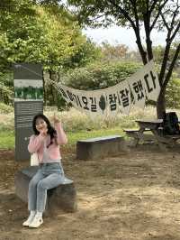 인천 핑크뮬리 명소🌸 [드림파크 야생화단지]