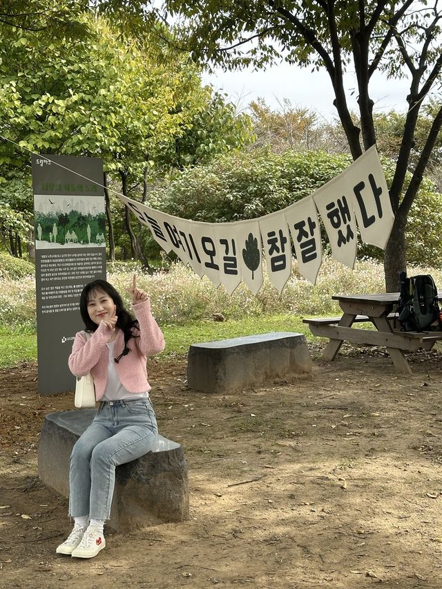 인천 핑크뮬리 명소🌸 [드림파크 야생화단지]