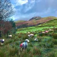 The idyllic lake and village of Buttermere