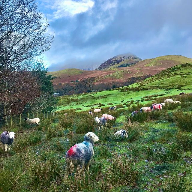 The idyllic lake and village of Buttermere