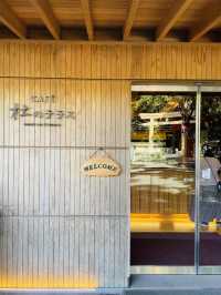 【東京都/CAFE 杜のテラス】パワースポットで快適なひととき