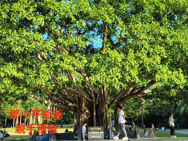 深圳市仙湖植物園