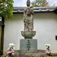 Tentoku-in Tranquility: Kyoto's Serenity