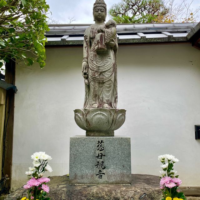 Tentoku-in Tranquility: Kyoto's Serenity