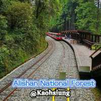 Alishan National Forest Recreation Area