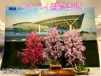 ベトナム　ベトナム観光　ハノイ　ノイバイ国際空港　国際線ターミナル内は土産店、カフェが充実！