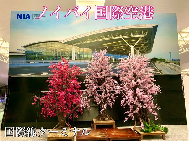 ベトナム　ベトナム観光　ハノイ　ノイバイ国際空港　国際線ターミナル内は土産店、カフェが充実！