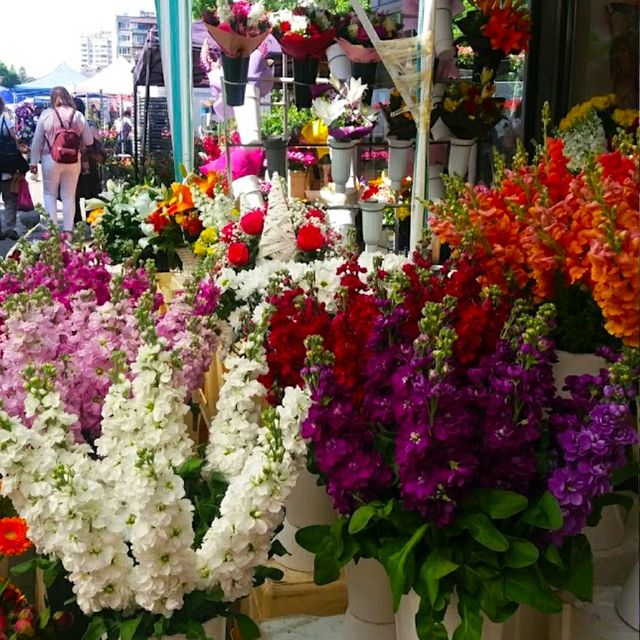 A TRADITIONAL SOFIA MARKET!