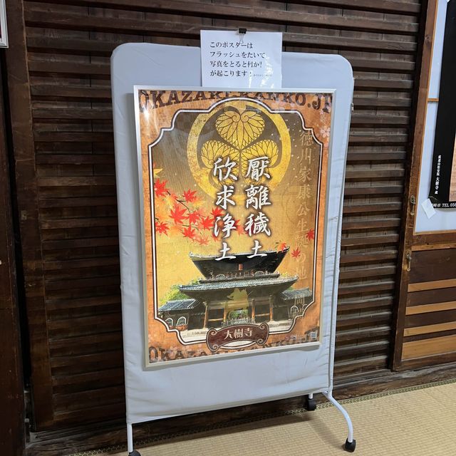 幻想的なプロジェクションマッピング