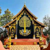 พาเที่ยววัดสวยลำปาง