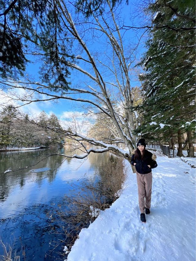 東京近郊🍀冬日輕井澤絕美打卡靚景—雲場池