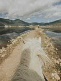 Horse riding in Shangri-La