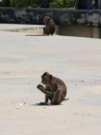 เส้นทางเลียบเลาะชายฝั่ง ปากแม่น้ำบางตะบูน เพชรบุรี