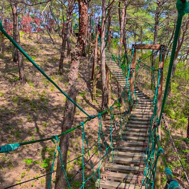 봄에 가기 좋은 트레킹 여행지💚