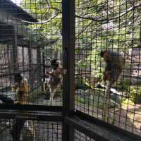 人生必到 野生動物餵食體驗