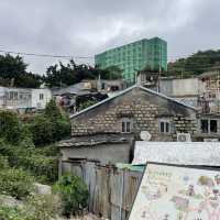 自家農田，香港僅餘的臨時房屋區