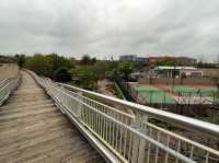 傳統嶺南風格嘅中式庭園 @ 荔枝角公園