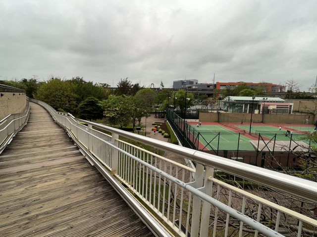 傳統嶺南風格嘅中式庭園 @ 荔枝角公園
