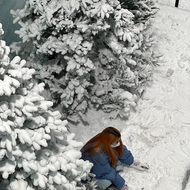 ตะลุยเมืองหิมะกลางกรุงเทพ Ice Magic 