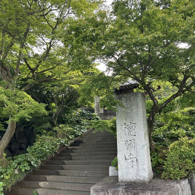 静岡市を一望する徳願寺