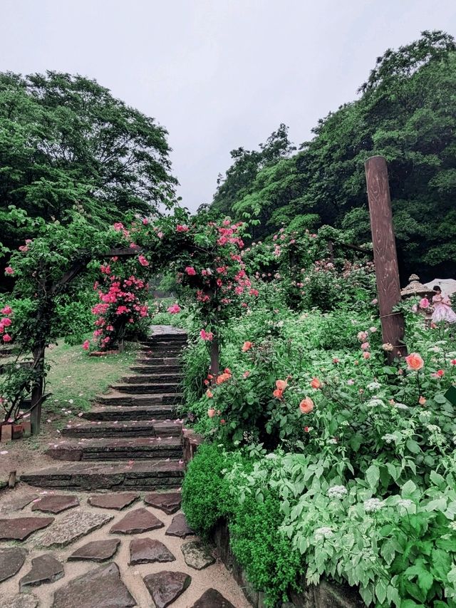 【癒しの神戸】ハーブが香る神戸布引ハーブ園