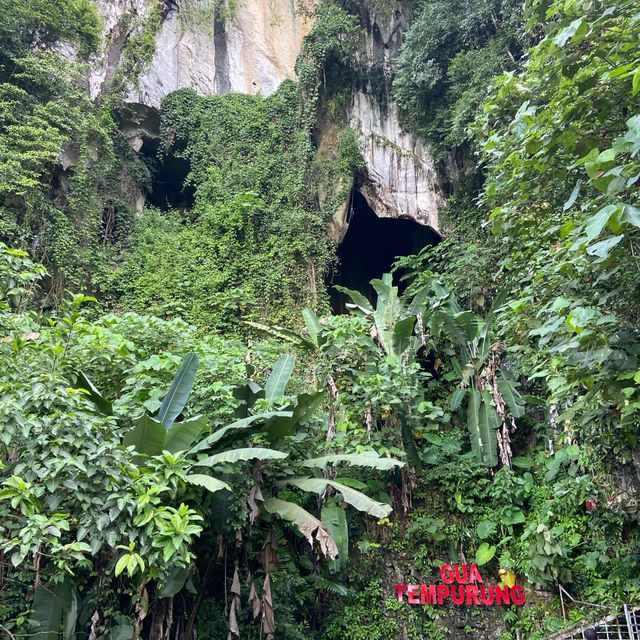 Gua Tempurung: A Subterranean Wonder