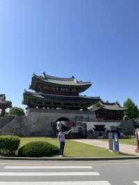 全州🇰🇷おすすめグルメ