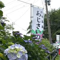 【愛知県蒲郡市】港町で食べる新鮮な魚料理と観光スポット