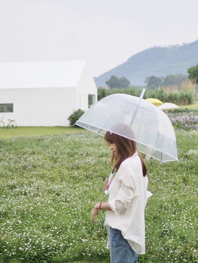 🌼คาเฟ่ในสวนดอกไม้ 🍃นาทีนี้ยกให้ ‘Blossom bloom’ 