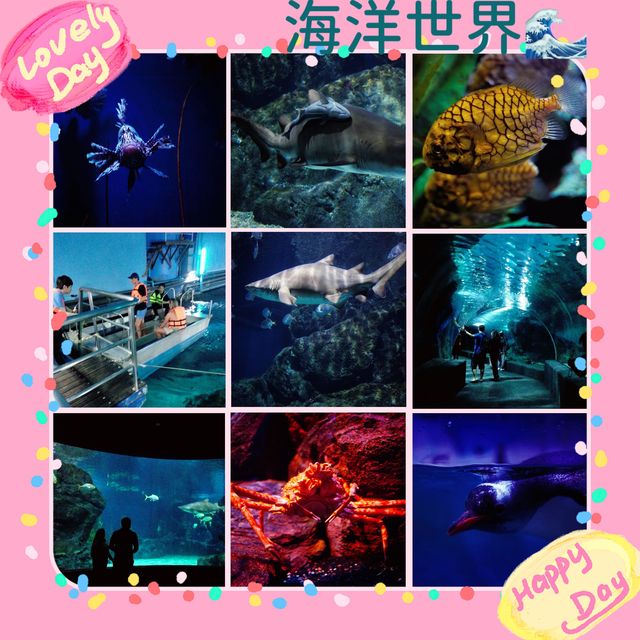 🌊置身暹羅海洋🌊