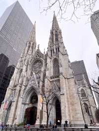 Divine Design:St Patrick’s & St Mary’s Shrine