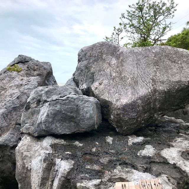 เกาะนกเภา ที่เที่ยวลับ ห้ามพลาด