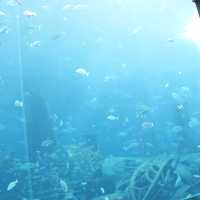 Atlantis The Palm Dubai โรงแรมบนเกาะที่ถมขึ้นมา