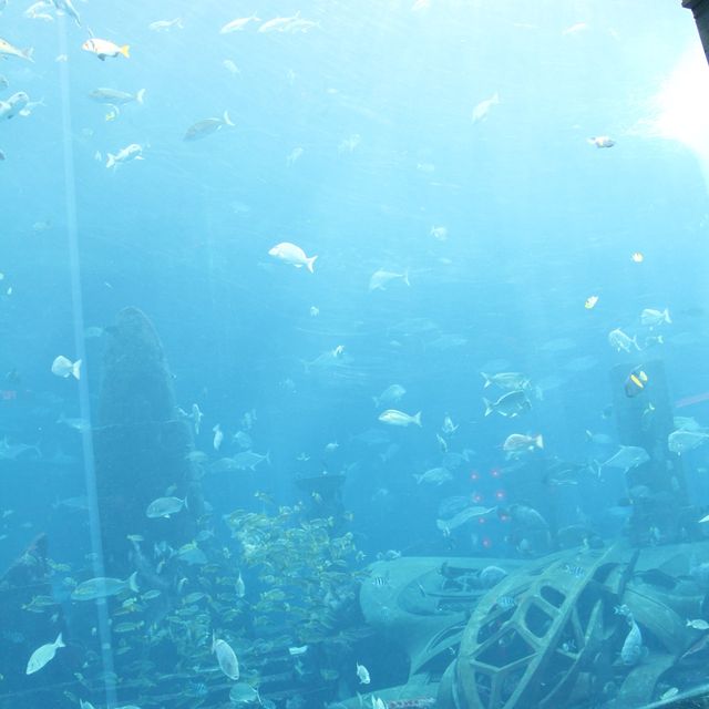 Atlantis The Palm Dubai โรงแรมบนเกาะที่ถมขึ้นมา